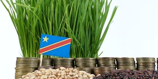 刚果民主共和国的国旗飘扬着成堆的钱、硬币和小麦