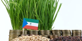 赤道几内亚国旗飘扬着成堆的钱币和小麦