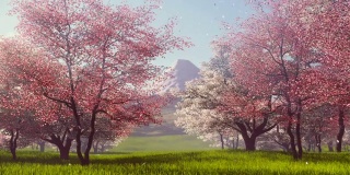 富士山和樱花树的慢镜头