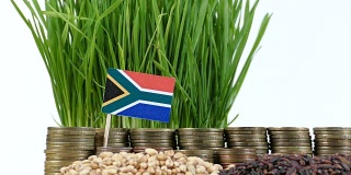 南非国旗飘扬着一堆硬币和一堆堆小麦