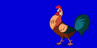 红褐色的公鸡走路和乌鸦。经典手工动画孤立在蓝屏上