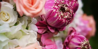 视频的粉红色玫瑰和荷花花束情人节的背景