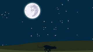 卡通狮子在非洲的神奇之夜奔跑视频素材模板下载