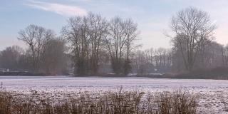 清晨薄雾，冬季农田4K。UHD