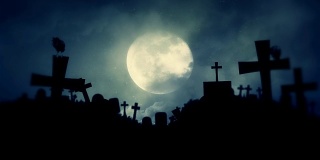 可怕的墓地和幽灵雾夜的乌鸦