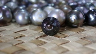 生斐济黑唇牡蛎黑珍珠视频素材模板下载