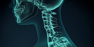 疼痛的脖子的3d渲染图。医学概念动画。