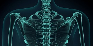 3D插图的肩膀疼痛，医疗概念动画。