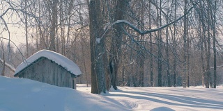 冬天的森林里有白霜。降雪。小木屋。