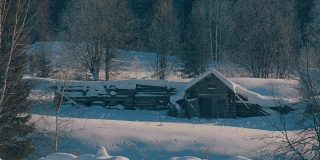 冬天的森林里有白霜。降雪。小木屋。