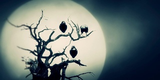 满月之夜，坐在枯树上的黑乌鸦