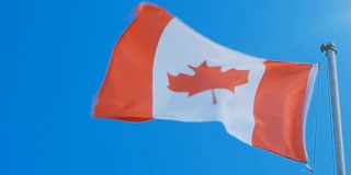 加拿大国旗在风中慢慢飘扬