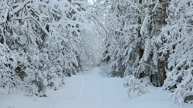 雪地里的人行道