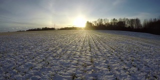 冬小麦覆盖着绿油油的嫩芽和傍晚的夕阳，时光流逝