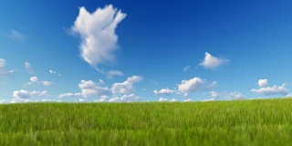 蓝色的天空上吹着青草，光洁的附着