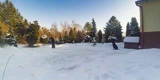 一个年轻人在车道上铲雪。