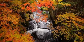 宁静的水流从龙津瀑布在秋天，日光，日本