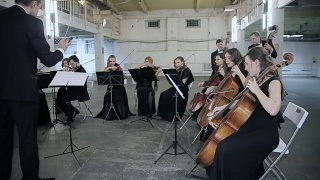 乐团。在交响音乐厅拉小提琴的音乐家视频素材模板下载