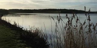 傍晚的光线渐渐淡出湖面，草地的剪影出现在前景中