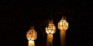 泰国，树上的纸灯笼。