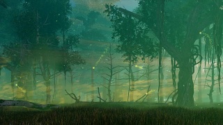 仙女萤火虫的灯光在神奇的夜森林电影视频素材模板下载