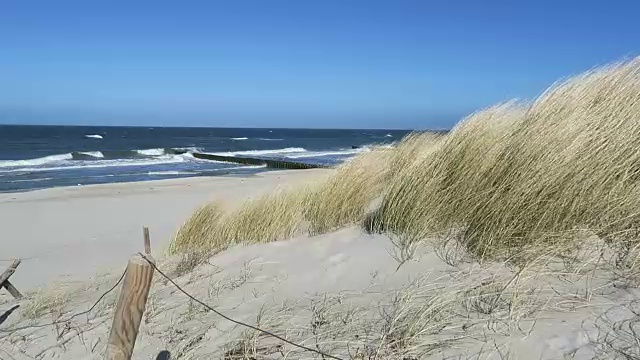波罗的海沿岸的海滩。dunes and reed(德国)