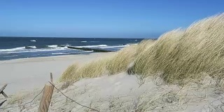 波罗的海沿岸的海滩。dunes and reed(德国)