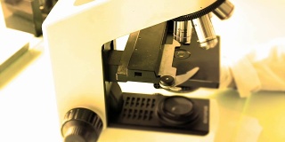 用显微镜工作。实验室显微镜。设置显微镜。准备显微镜工作。