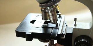 用显微镜工作。实验室显微镜。设置显微镜。准备显微镜工作。