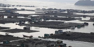 福建霞浦，农民在海边养殖鲍鱼，在水中放入大量笼子。他们生活在海面上。