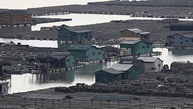 福建霞浦，农民在海边养殖鲍鱼，在水中放入大量笼子。他们生活在海面上。
