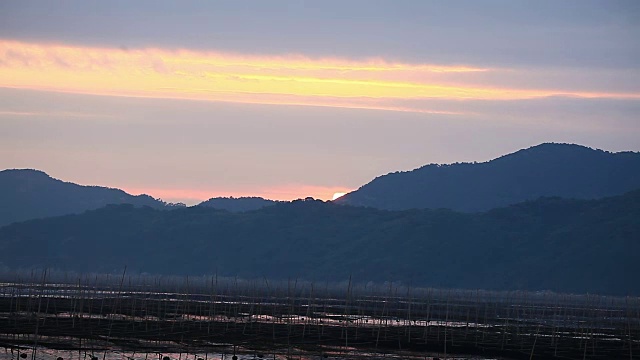 福建霞浦市海中养殖的紫菜