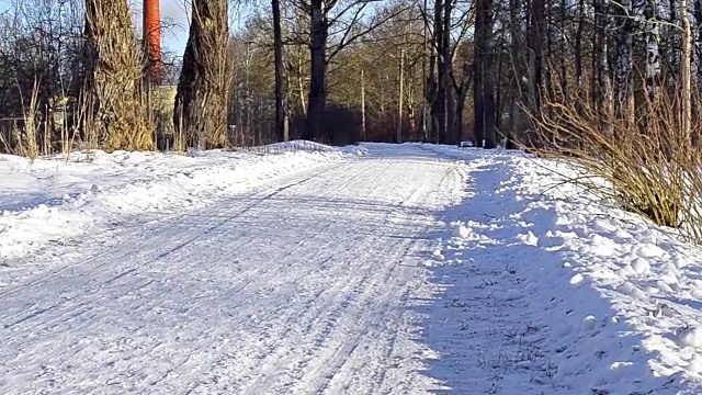 圣彼得堡红村- 2017年1月21日:女孩坐在西伯利亚哈士奇拉的雪橇上。雪橇狗哈士奇雪橇和雪橇上的雪橇。动物在雪橇上的运动比赛