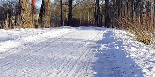 圣彼得堡红村- 2017年1月21日:女孩坐在西伯利亚哈士奇拉的雪橇上。雪橇狗哈士奇雪橇和雪橇上的雪橇。动物在雪橇上的运动比赛