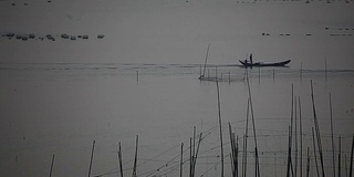 福建霞浦市海中养殖的紫菜