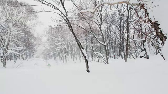 滑雪板空中离开树后360在粉末野外自由式骑冬季运动场景