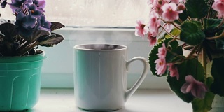 把开水倒进杯子里。一杯咖啡，一杯茶，一杯热饮，在窗台旁边的一盆漂亮的家里花