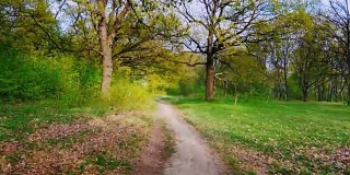 美丽的春天森林里的小路。替身观点视频