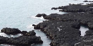 冰岛海鸥生活在冰岛西海岸朗德兰加半岛附近的悬崖上。慢动作120帧/秒