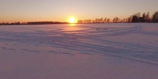 在冬日田野的夕阳下飞翔