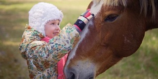一个小女孩抚摸着马的脸。特写,慢动作