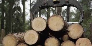 特写:伐木车的摇臂吊运和装载树干