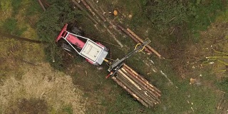 航拍原木卡车将砍下的原木吊起来，然后把它们装到堆叠的拖拉机上