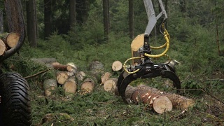 近:原木装载机采伐装载树干和木材的货代视频素材模板下载