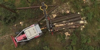 空中特写:起重机装载砍伐的原木和树干在自然的伐木卡车上