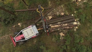 空中特写:起重机装载砍伐的原木和树干在自然的伐木卡车上视频素材模板下载