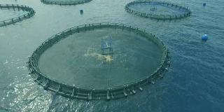 养鱼网箱系统