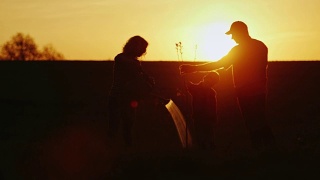 一个友好的家庭在日落时种下一棵树。爸爸，妈妈和小儿子一起工作。轮廓的视频视频素材模板下载