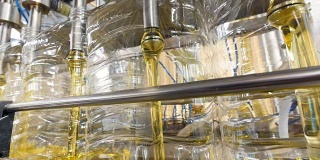 工厂生产设备灌装葵花籽油的瓶子。4 k。