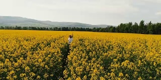 无人机飞行在黄色的开花油菜田，其中一个漂亮的，年轻的女人是位于